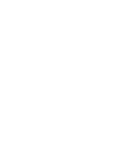 MRT Logo